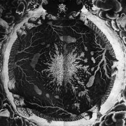 Sutekh Hexen : Luciform Sutekh Hexen : Luciform